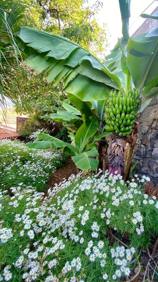 Casa Ideal Para Familias Com Vista Mar Desafogada Funchal  Ngoại thất bức ảnh