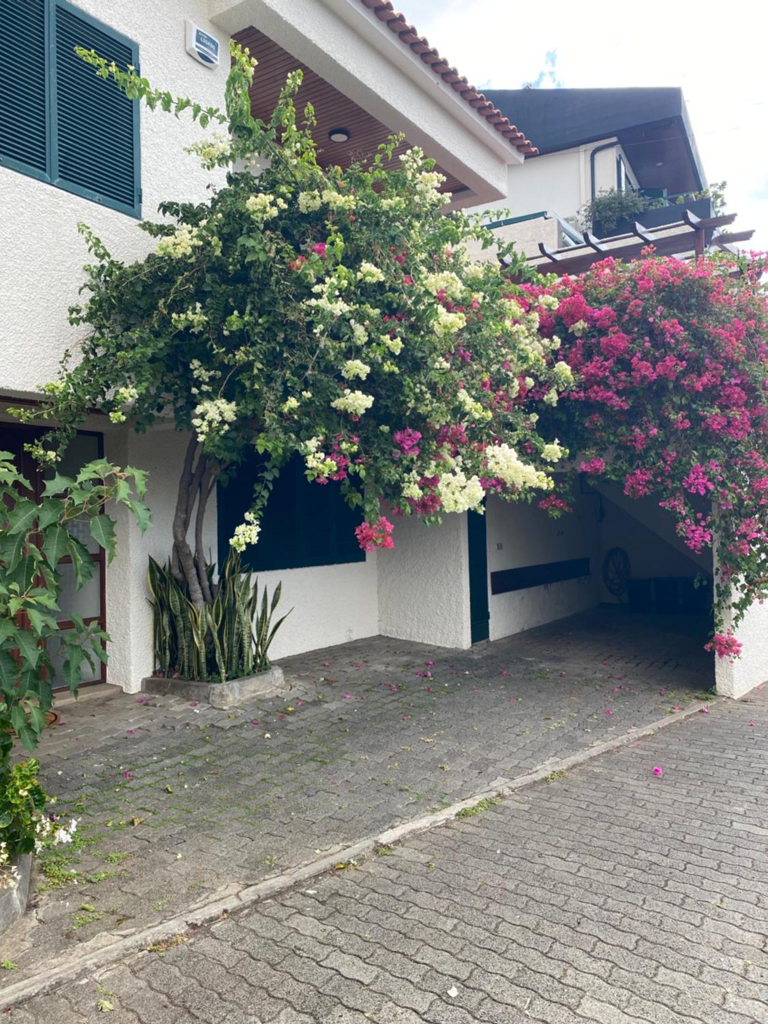Casa Ideal Para Familias Com Vista Mar Desafogada Funchal  Ngoại thất bức ảnh